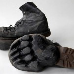 Animal-Footprint-Shoes