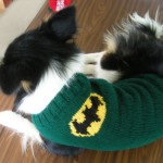 Dog Batman Sweater