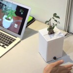 Interactive Plant showing emotions