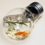 Light Bulb Aquariam