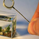 Tiny Aquarium