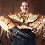 giant-crab-1