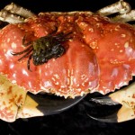 giant-crab-3