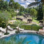 Elephant Safari Park Hotel Lodge, Bali