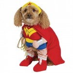 Wonder Woman Dog