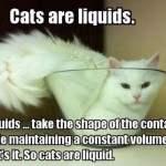 Cat Liquids