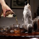 Squirrel Beer