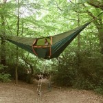 The Camping Hammock