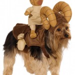 star-wars-dog-costumes-1