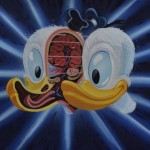 Cross Section of Donald’s Head