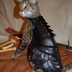 cat-armor-1