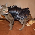 cat-armor-2
