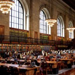 Library science degree