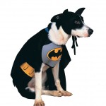 Batman Dog Costume