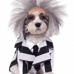 Beetlejuice Dog Pet Costume