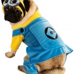 Minion dog Costume