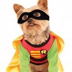 Robin Dog Costume