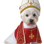 pope Dog Costume