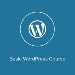 Walyou Deals Basic WordPress Course