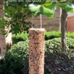 pringles bird feeder craft