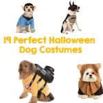 19 Perfect Halloween Dog Costumes