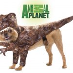Raptor Dog Costume