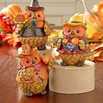 Thanksgiving Harvest Owls Set