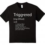 Triggered Meme T-Shirt