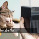 Gadget Review- Petcube Play
