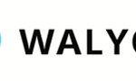 walyou