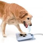 Automatic Dog Waterer Step-on