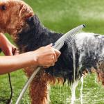 Waterpik PES-142 Pet Wand Dog Shower for Indoor-Outdoor Use