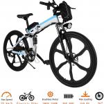 Tomasar Power Electric Bike