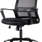 Best-Office-Chairs-9-Ergonomic-Executive-Chair-with-Armrests