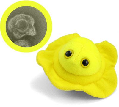 herpes plush toy