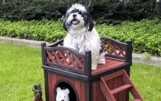 Being in the Doghouse Ain't So Bad: 19 Darn Cool Doghouses