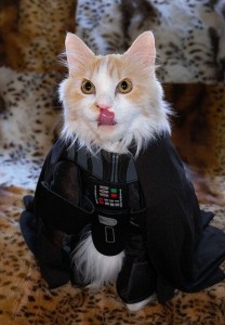 25 Completely Cute Animals In Star Wars Costumes