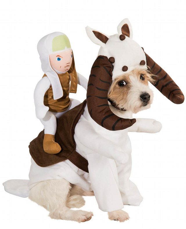 Star Wars Dog Cosplay: Banthas, AT-AT And Tauntauns Galore!