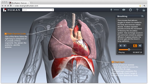 BioDigital Human 3D Virtual Anatomy - Walyou