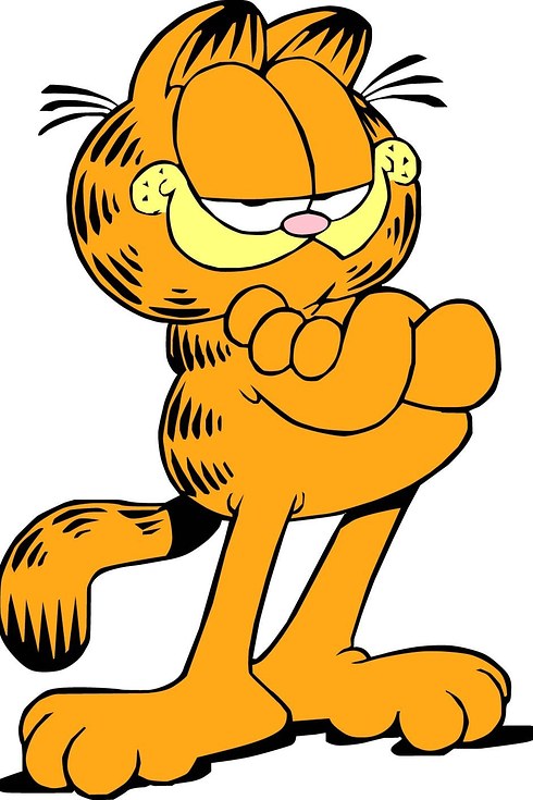 Garfield - Walyou