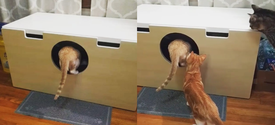 7 Meowellous Ikea Hacks for Cat Lovers