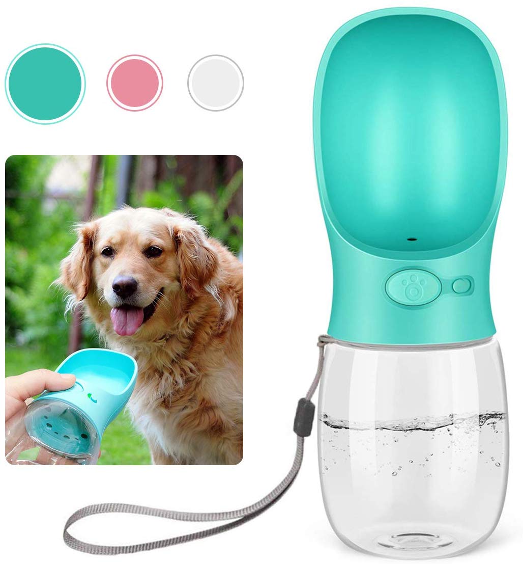 15 Best Dog Gadgets for National Puppy Day - Walyou